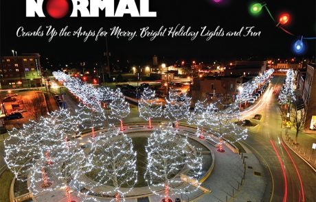 December 2020 Bloomington Normal News and Views Issue